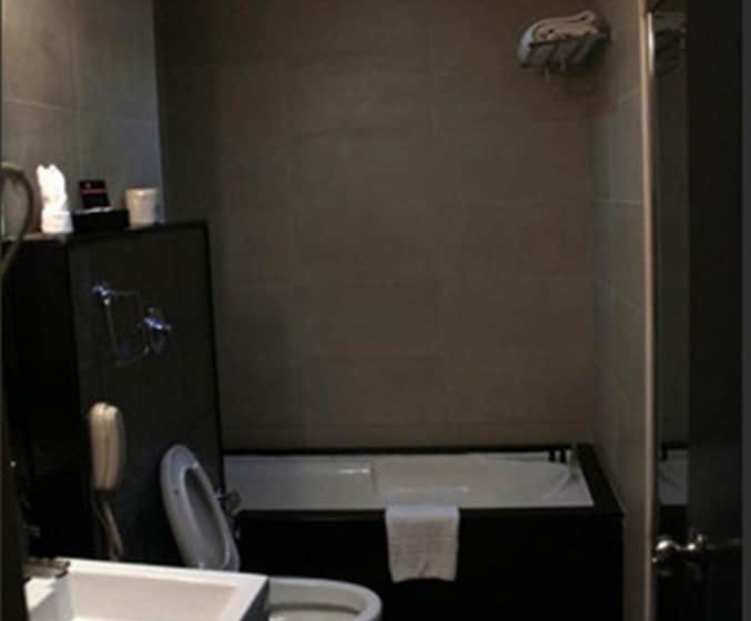 豪华房间, Royal Orchid Central Shimoga
