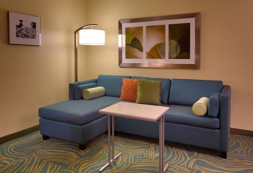 Люкс, Springhill Suites By Marriott Cedar City