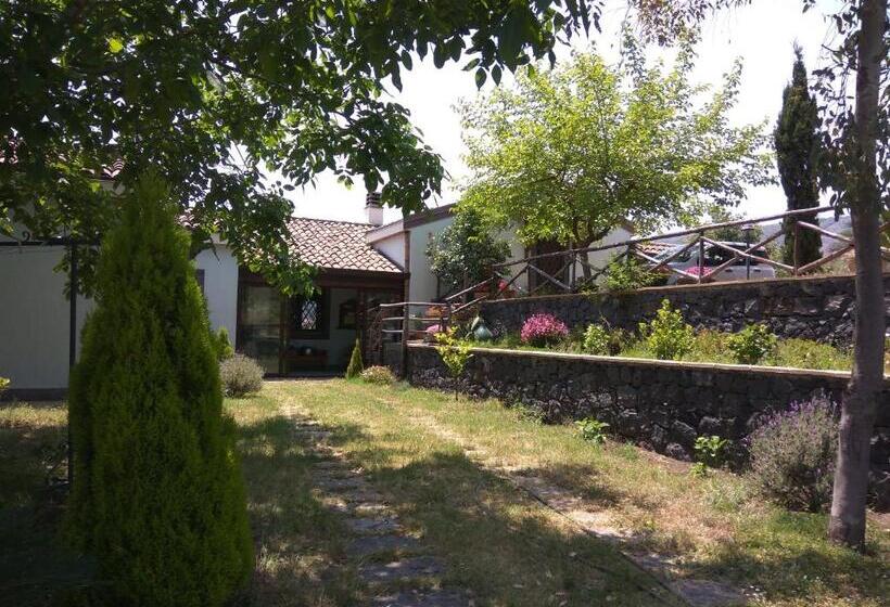 マウンテンビュースタンダードルーム, Alberto S Mt.etna B&b