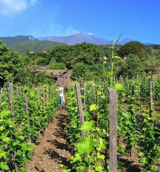 スタンダードバンガロー, Alberto S Mt.etna B&b
