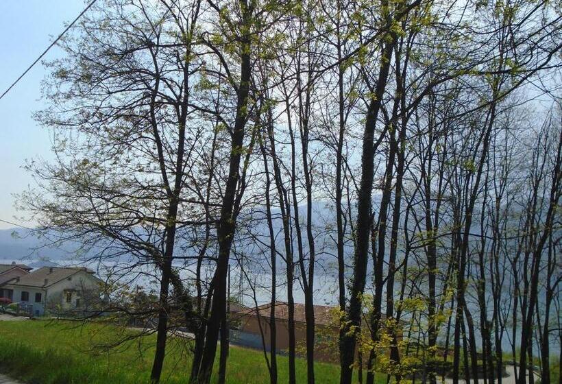 Семейный Номер, Bellavista