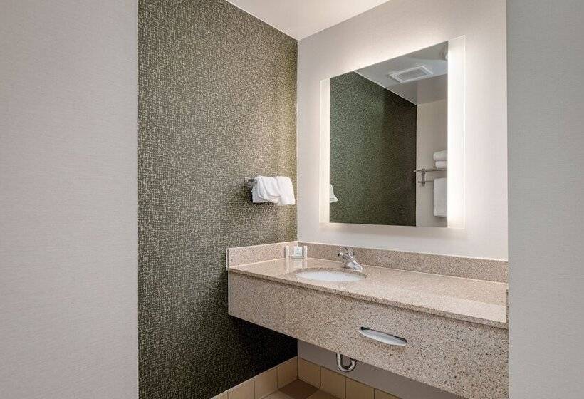 Номер Стандарт 2 Двуспальные Кровати, Fairfield Inn & Suites By Marriott Lawton