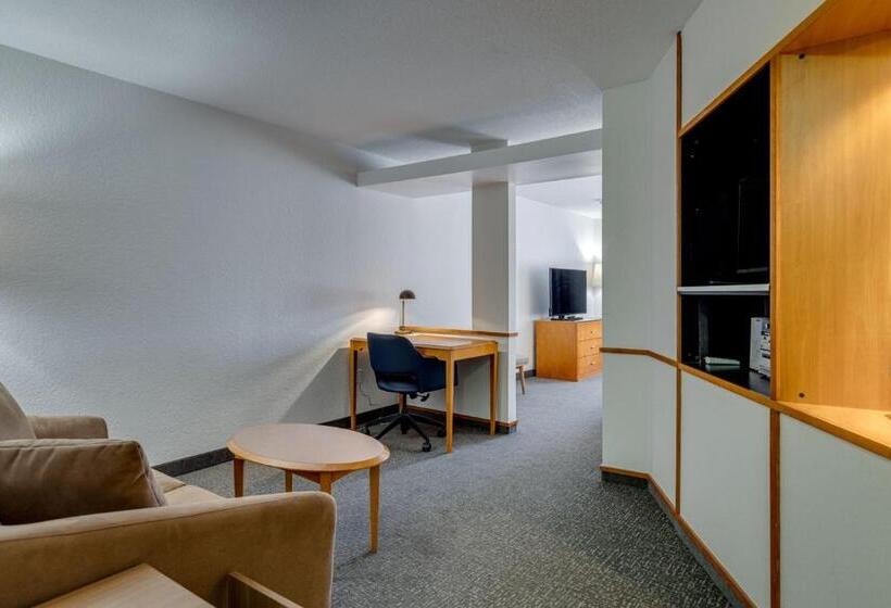 Студио Стандарт Кровать Кинг, Fairfield Inn & Suites By Marriott Lawton