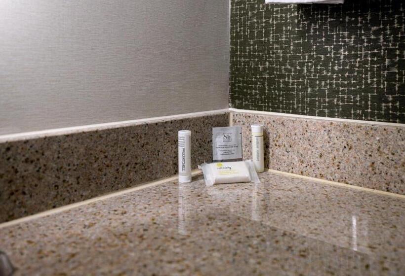 Студия Стандарт, Fairfield Inn & Suites By Marriott Lawton