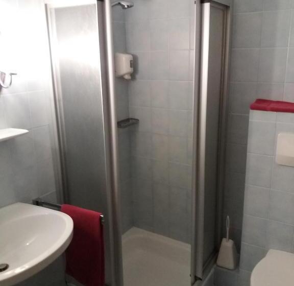 スタンダードルーム, Austria Traveller Hotel Lenzing