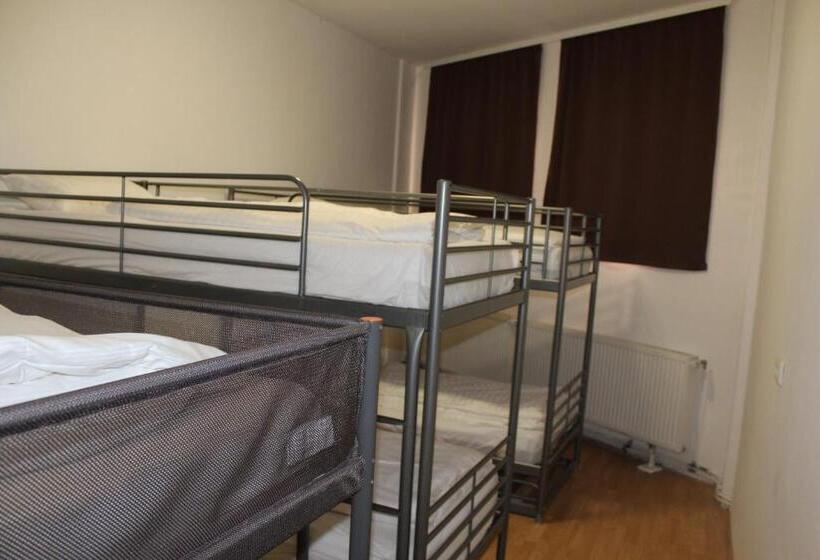 מיטה בחדר משותף, David S Hostel