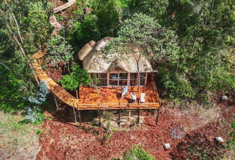 Номер Superior Кровать Кинг, Foresight Eco Lodge & Safari