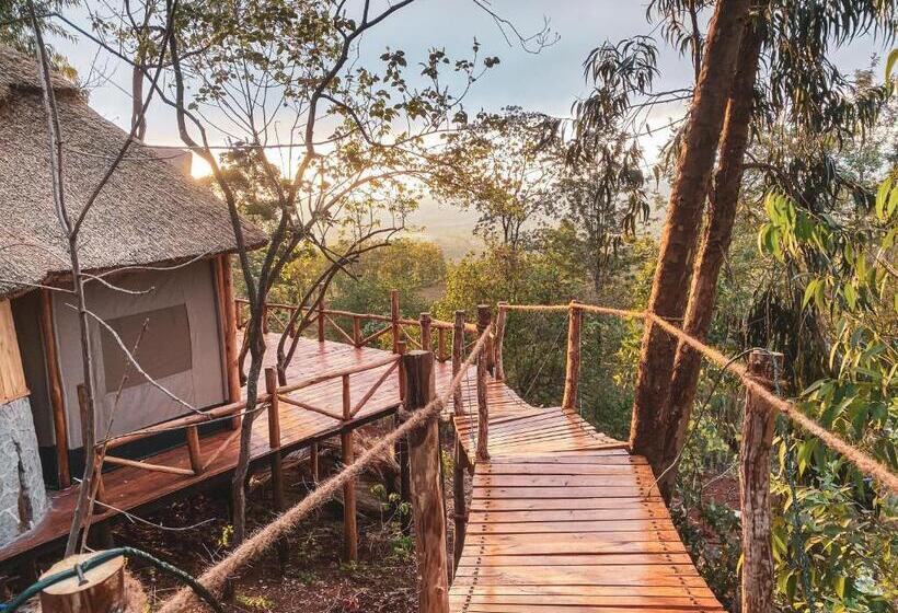 디럭스 룸 킹사이즈 침대, Foresight Eco Lodge & Safari