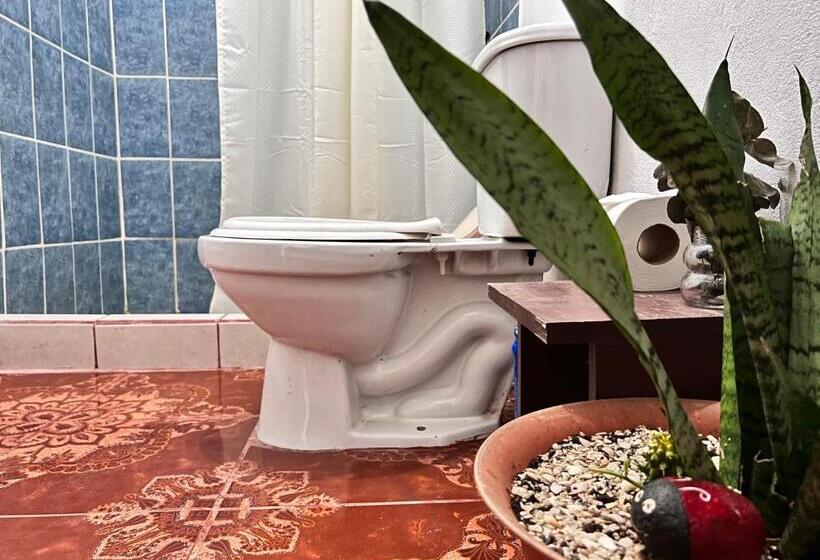 Семейный Номер, Natural Experience House