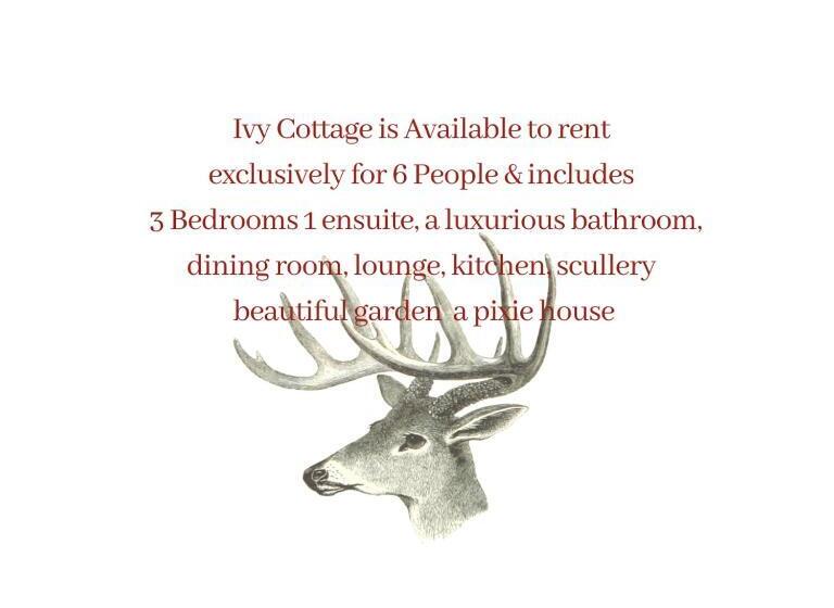 اتاق لوکس, Ivy Cottage B&b