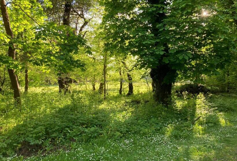 اتاق لوکس با تخت بزرگ, Ivy Cottage B&b