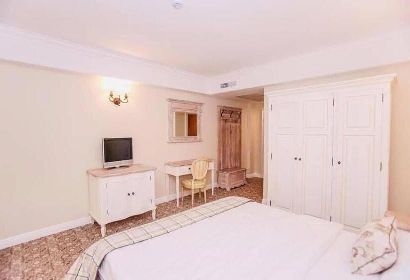 اتاق استاندارد با بالکن, Pensiunea Dimitrios & Spa   Băile Herculane  Valea Cernei Terapie Spa  Relaxare A Minții și A Trupul
