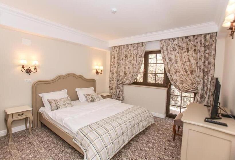 سوییت جونیور, Pensiunea Dimitrios & Spa   Băile Herculane  Valea Cernei Terapie Spa  Relaxare A Minții și A Trupul