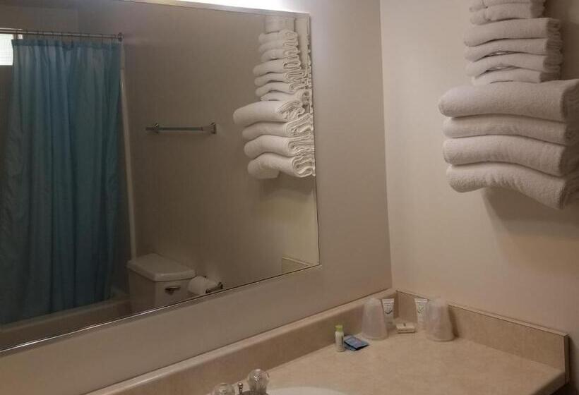 Номер Стандарт, Westwood Motel