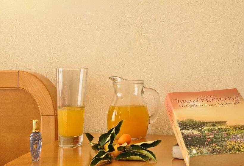 استودیوی استاندارد, Lido Sofia Holidays