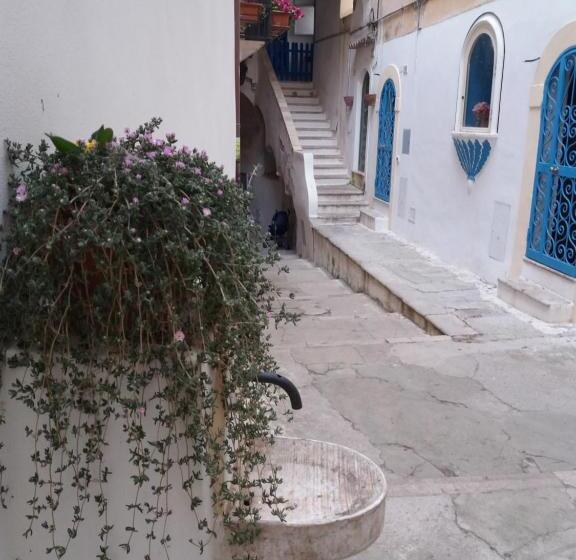 آپارتمان 2 خوابه با چشم‌انداز دریا, Florenza Residence