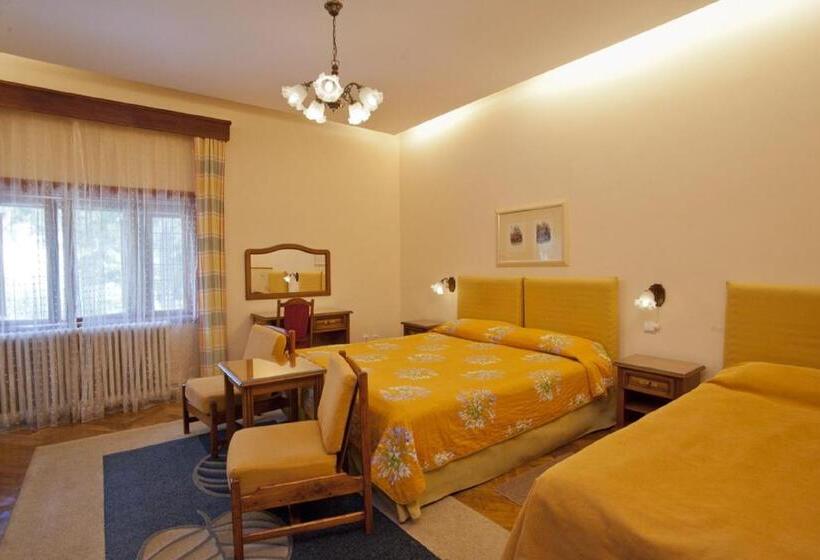 חדר סופריור, Vila Camelia