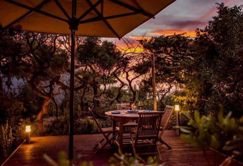 ویلا پریمیوم 1 خوابه, Resort Riva Degli Etruschi