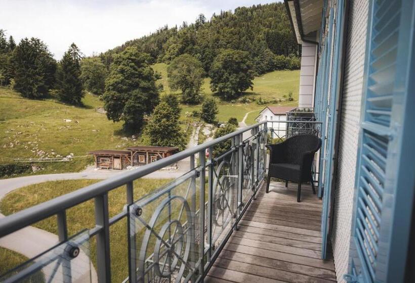 Номер Superior Вид на Горы, Villa Honegg
