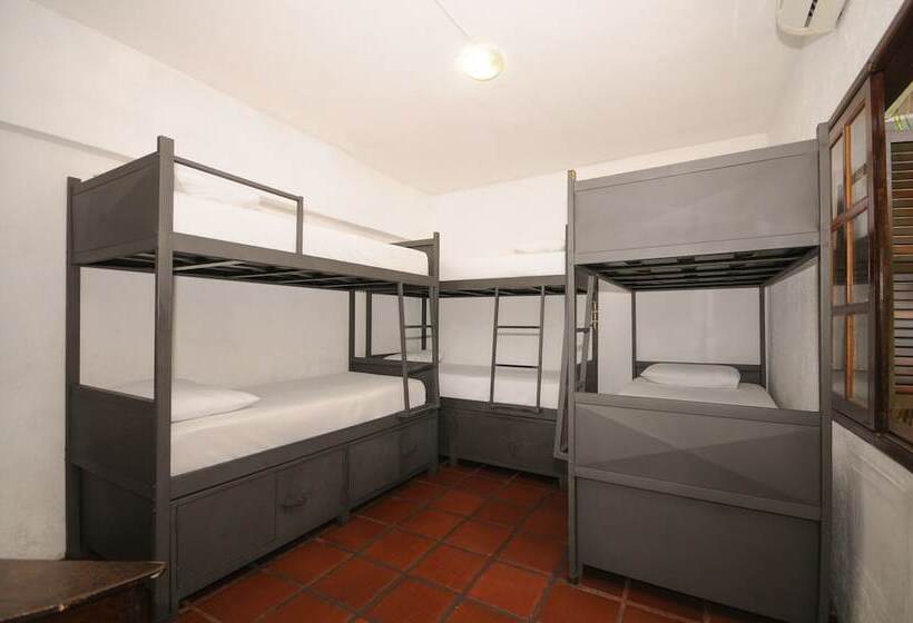 Кровать в Общей Комнате, Che Lagarto Hostel Buzios
