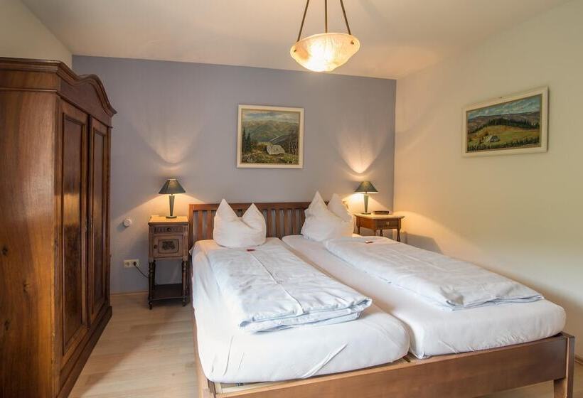 Номер Комфорт, Goldener Adler Oberried   Hotel & Appartements
