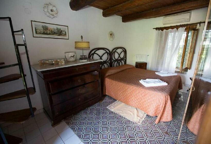 Номер Стандарт, Azienda Agrituristica Seliano