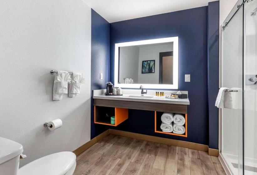 Номер Стандарт Кровать Квин Адаптированный для Инвалидов, Best Western Plus Amarillo East