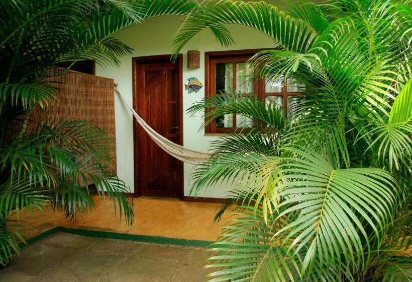 스탠다드 룸, Pousada Vila Dos Pássaros