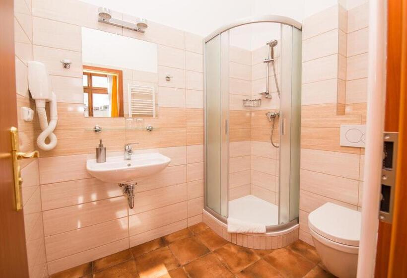 Номер Стандарт Трехместный, Morava