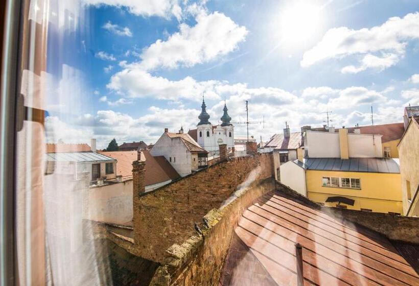 Номер Стандарт Трехместный, Morava
