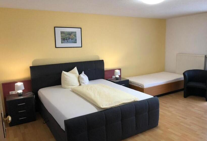 Трехместный Номер Superior, Tiptop Hotel Am Hochrhein