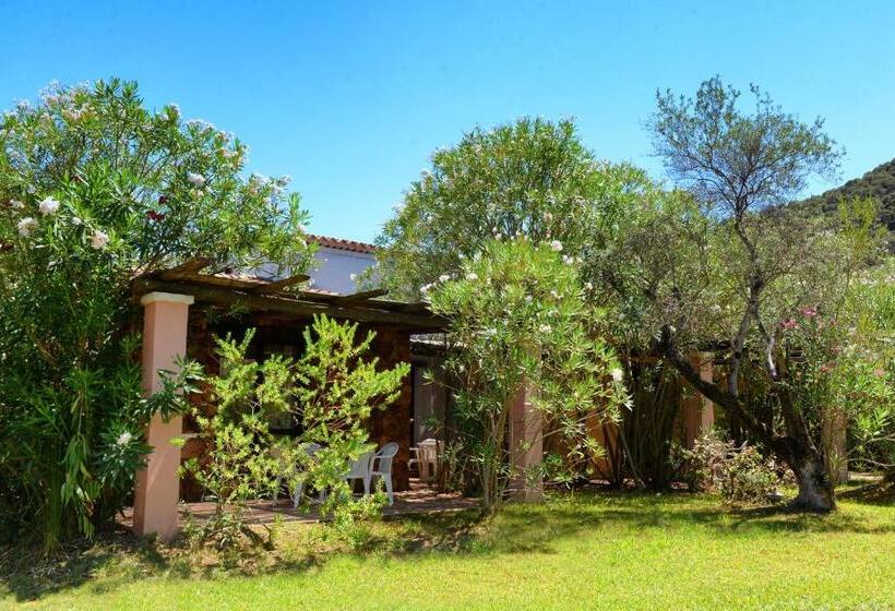 Трехместный Номер Комфорт, Perdepera Resort