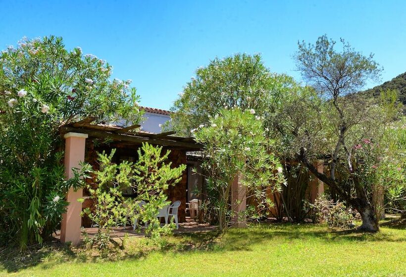 Номер Стандарт Трехместный, Perdepera Resort