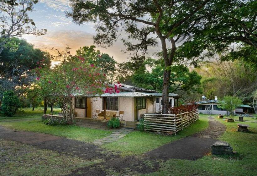 标准间, Jungle Hut
