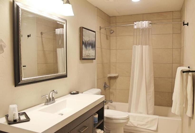 Deluxe Studio, Bell & Main Alamosa Studio Suite Walking Distance To Downtown