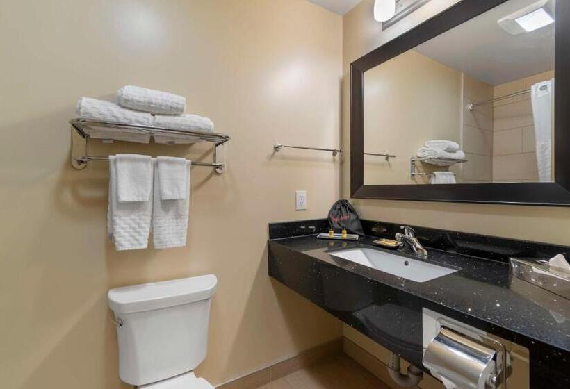 Номер Стандартный Кровать Куин, Best Western Plus Moose Jaw
