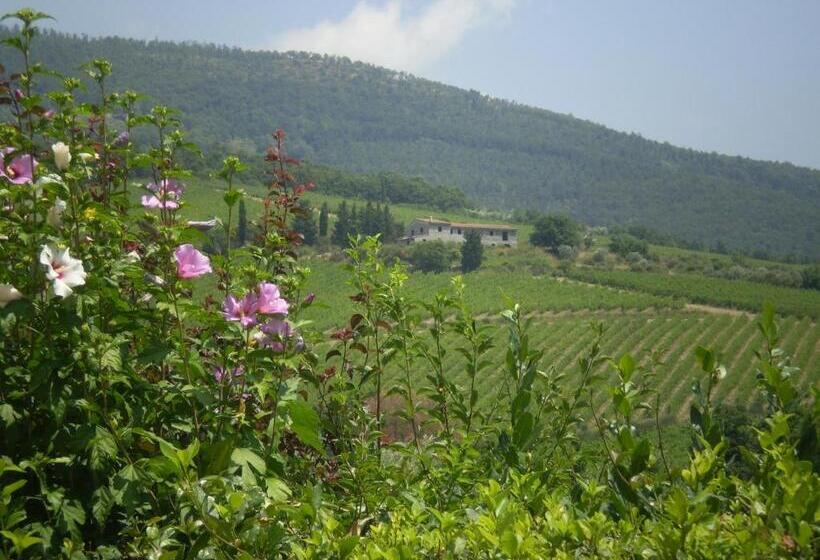 آپارتمان 1 خوابه, B&b Il Nido Del Merlo