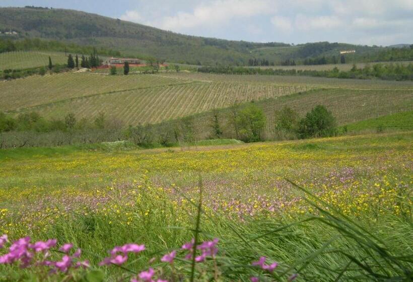 اتاق کلاس بیزنس, B&b Il Nido Del Merlo
