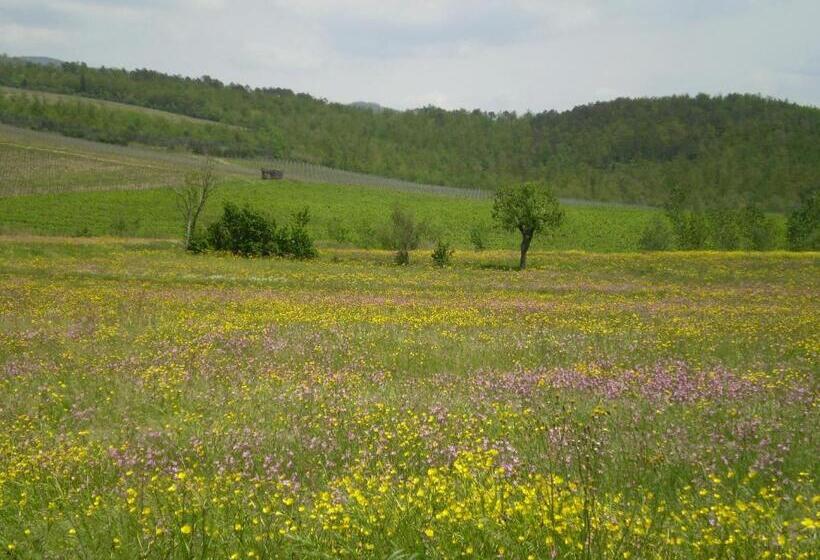 اتاق استاندارد سه نفره, B&b Il Nido Del Merlo