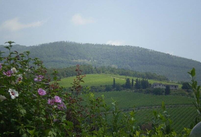 اتاق کلاس بیزنس, B&b Il Nido Del Merlo