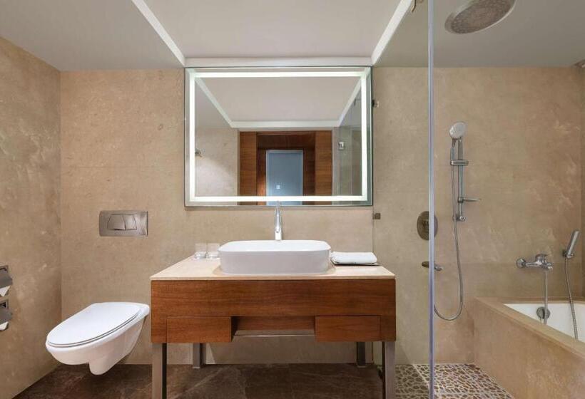 اتاق کلاس بیزنس, Radisson Blu Hotel Ranchi