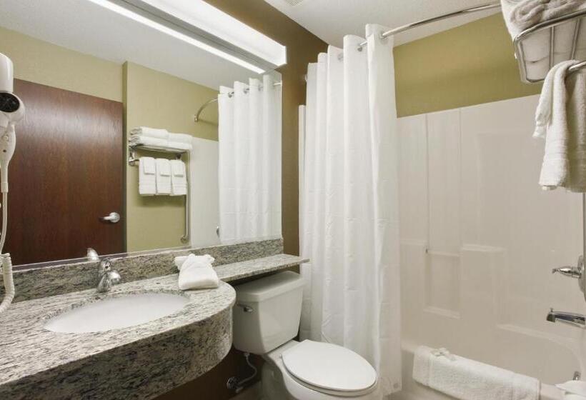 Номер Стандарт Адаптированный для Инвалидов, Microtel Inn & Suites By Wyndham Williston