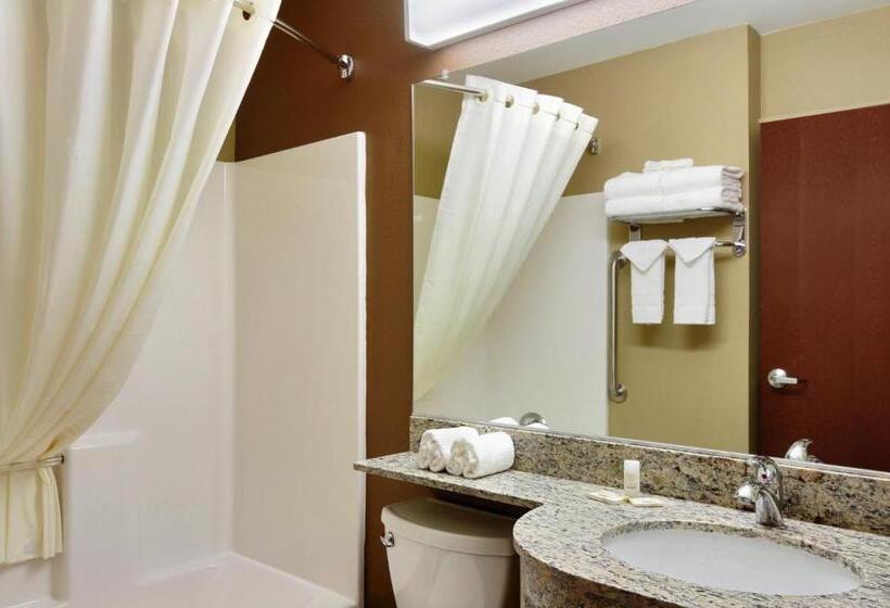 Люкс, Microtel Inn & Suites By Wyndham Williston