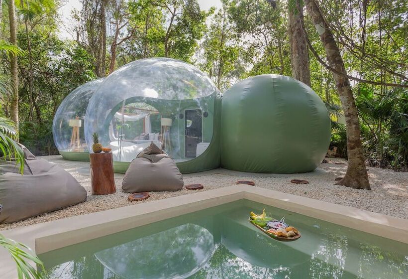Suite Premium, Oom Bubble Boutique Riviera Cancun   Adults Only