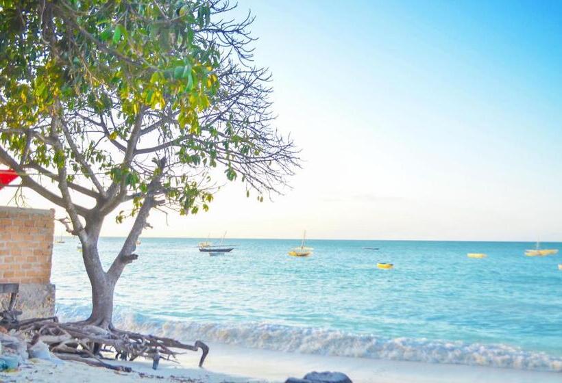 Номер Стандарт Трехместный, Room In Bb   Room Ally At The Beach For 2 3 Guests