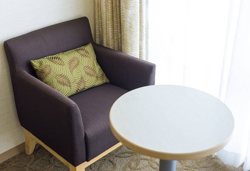 Номер Deluxe, Nishitetsu Resort Inn Naha