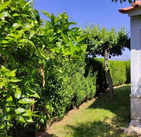 Четырехместный Номер Стандарт, Casas Do Paço   Casas De Férias