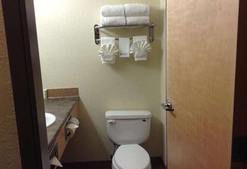 Номер Deluxe, Lakeview Inns & Suites  Fort Nelson