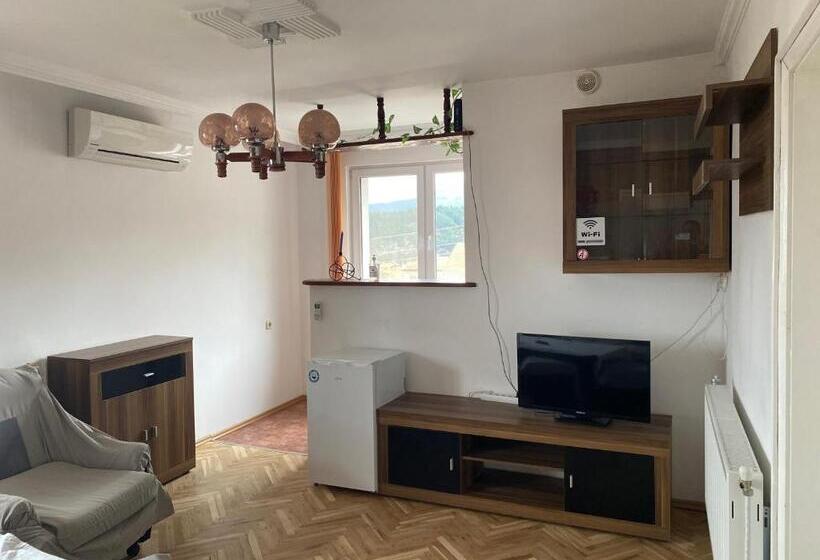 1 Bedroom Apartment Mountain View, Guest House Simona