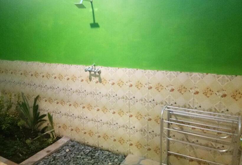 Номер Superior, Molleh Guest House